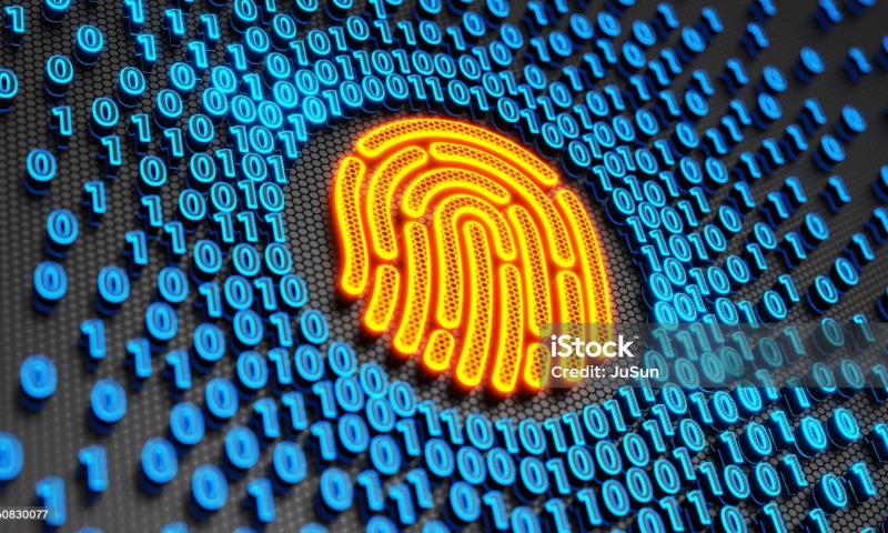 USDX币是什么？全面解析USDX币的概念、功能与应用