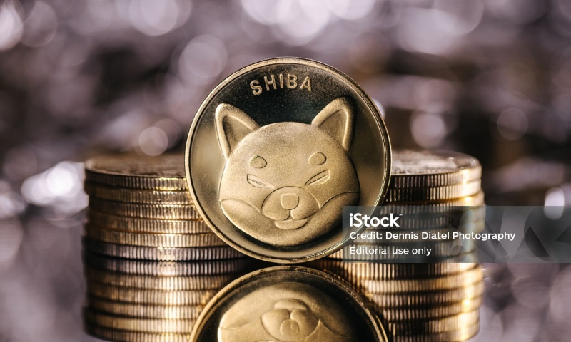 ZIG是什么币？ZIG币详细介绍与市场前景分析