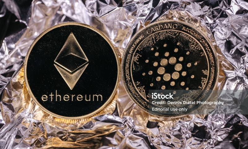 NOMC是什么币？NOMC币详细解析与背景介绍