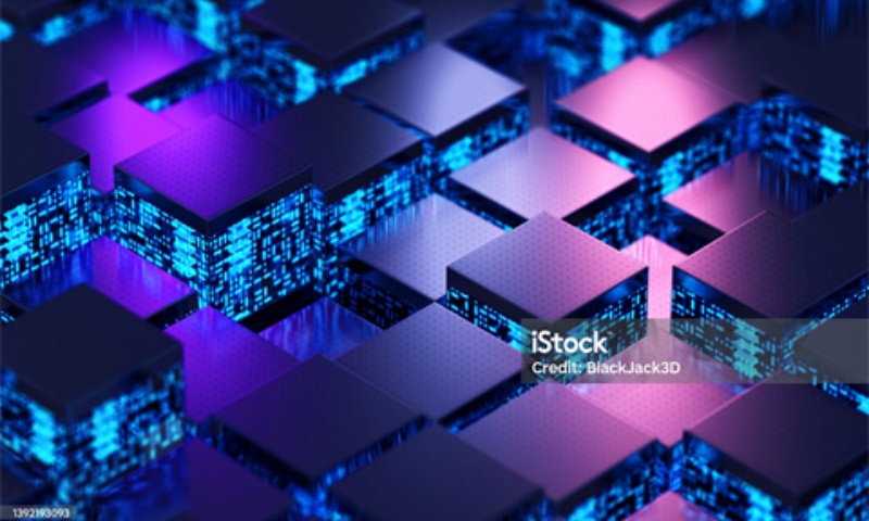 MED币怎么样？MED币的投资价值与市场表现