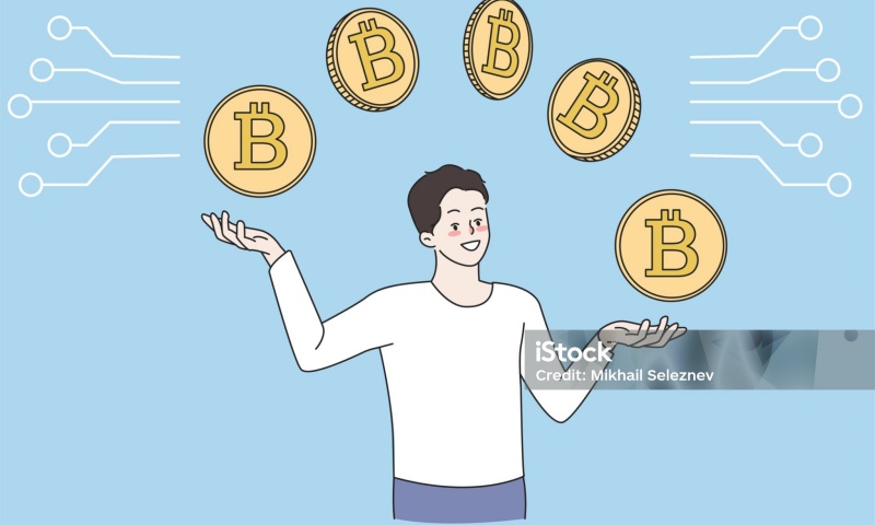 一个蜂鸟币价格是多少？HMNG币的历史价格与趋势分析